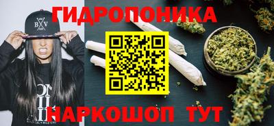 кокс Моздок